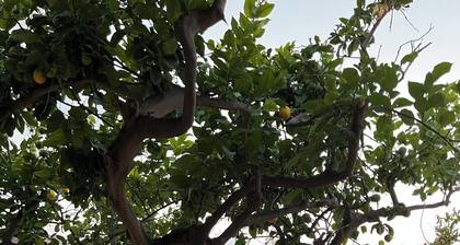 Detached house 5 minutes walk from the sea