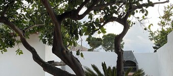 Detached house 5 minutes walk from the sea