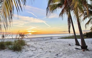 A beach with palm trees and a sunset.