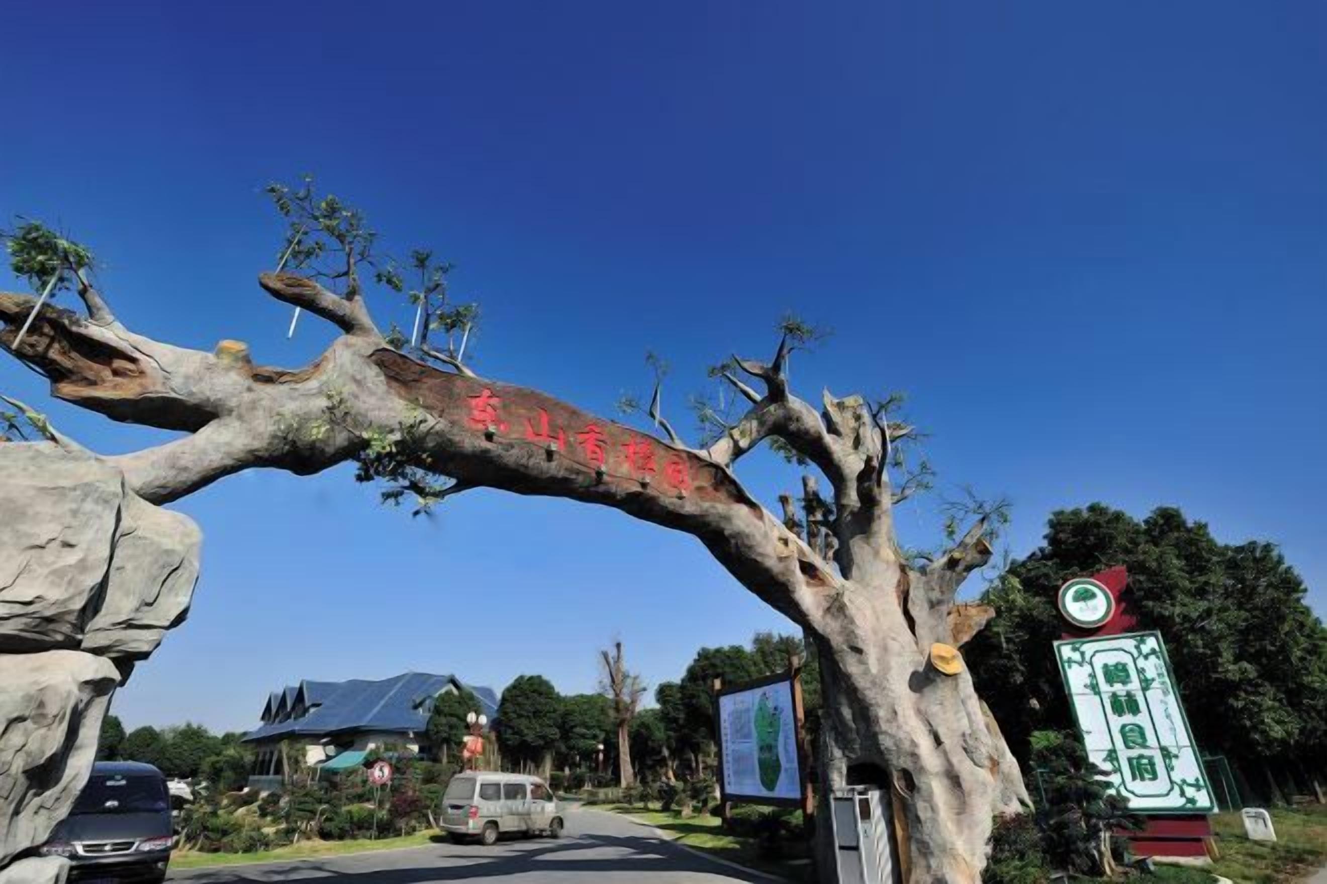 Un albero sporge sopra una strada con un segnale.