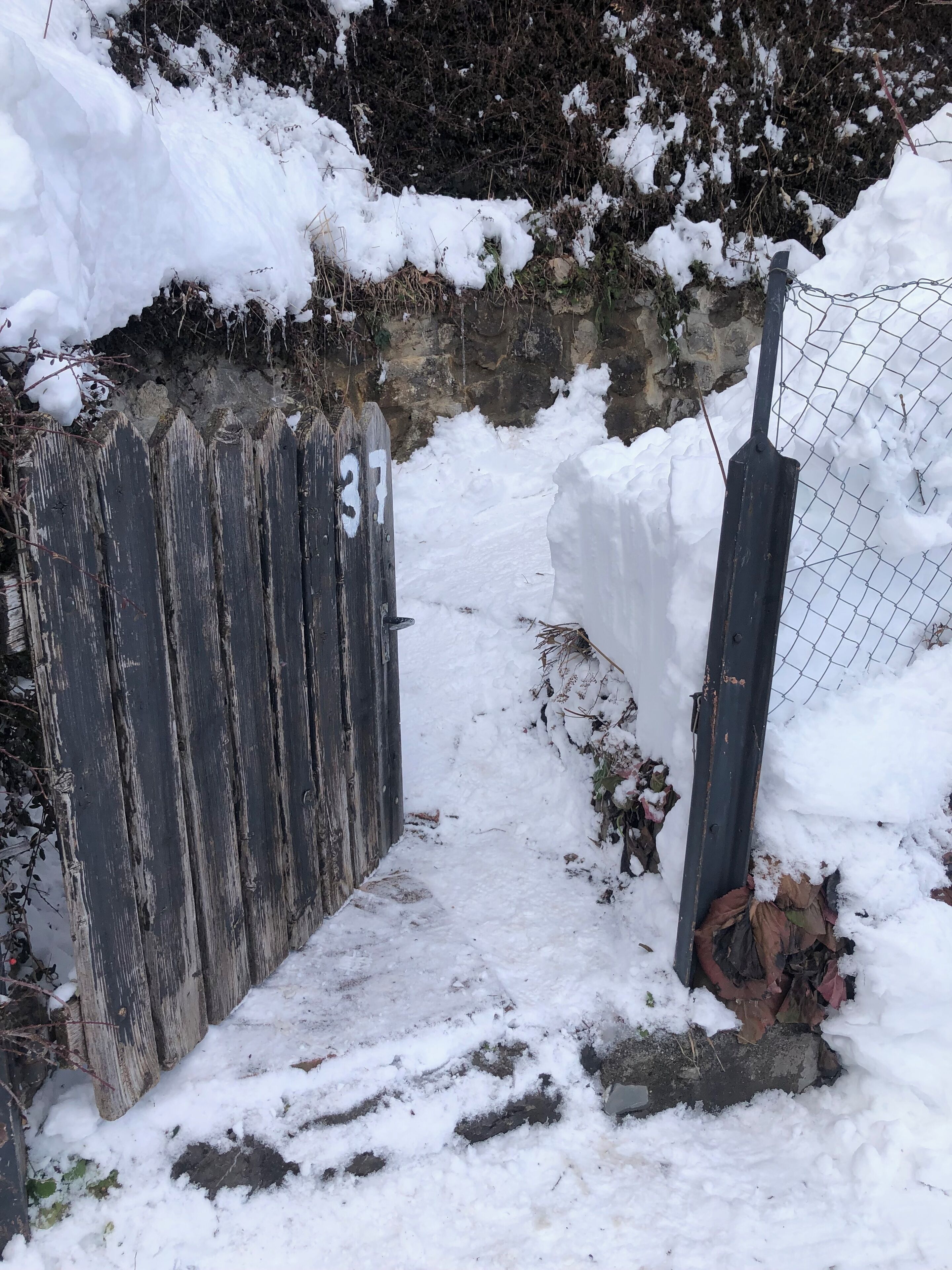 A snow-covered gate with a number '37' and a chain-link fence.