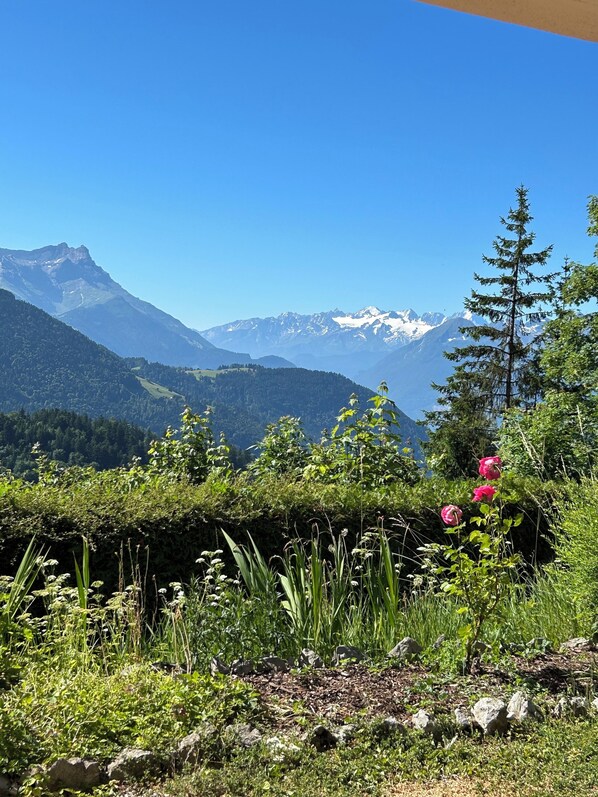 Property grounds - Apartment with terrace and garden for skiers and hikers. Pet friendly! (Leysin)