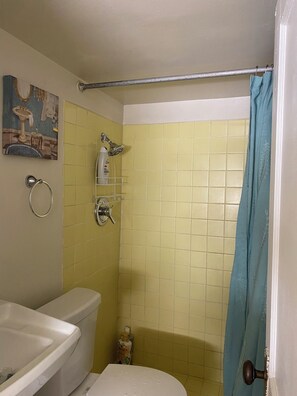 Shower, towels, soap, toilet paper - The Garden Apartment at the Craftsmen (Albuquerque)