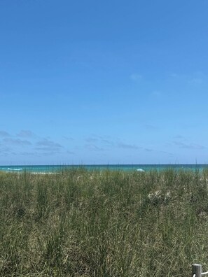 Una playa con hierba alta en primer plano y un cielo azul despejado.