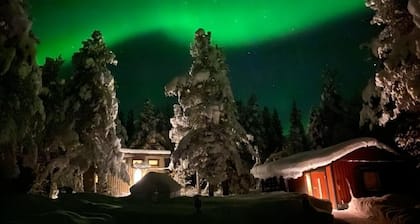 Cosy tiny house with view on our husky kennel