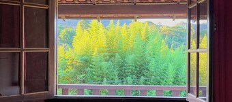 Home of Peace - Cozy house in Miguel Pereira, close to the city center