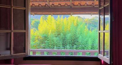 Home of Peace - Cozy house in Miguel Pereira, close to the city center