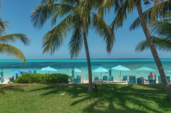 Chaises longues, serviettes de plage