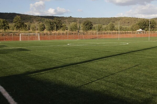 Un campo de fútbol con porterías, rodeado por una valla y árboles.