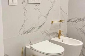 Shower, hair dryer, bidet, towels