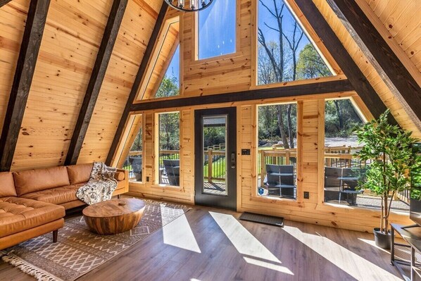 TV, DVD player, books, video library