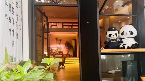 Een modern interieur met een glazen deur naar een zithoek. Op een plank staan twee panda knuffels.
