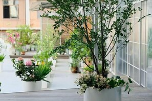 A potted plant with a white pot on a balcony. - Nandu Hotel (Chengdu Renmin South Road Us Consulate) (Chengdu)