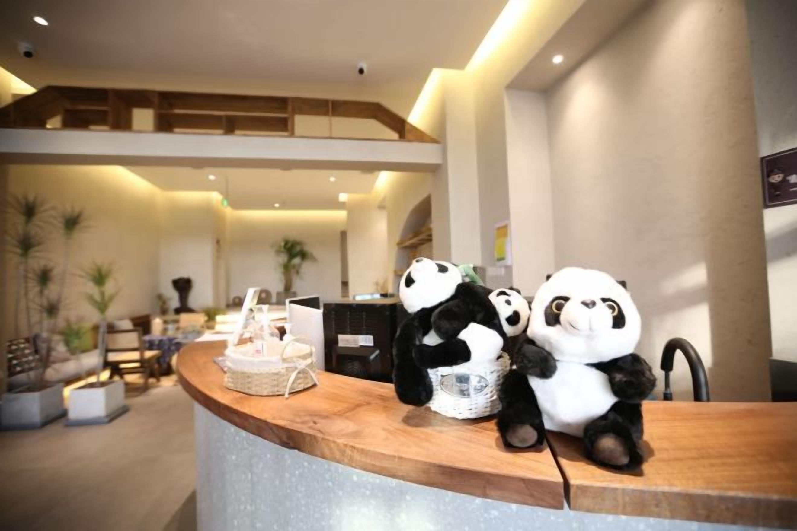 A reception desk with panda plush toys, a wooden counter, and a modern interior design.