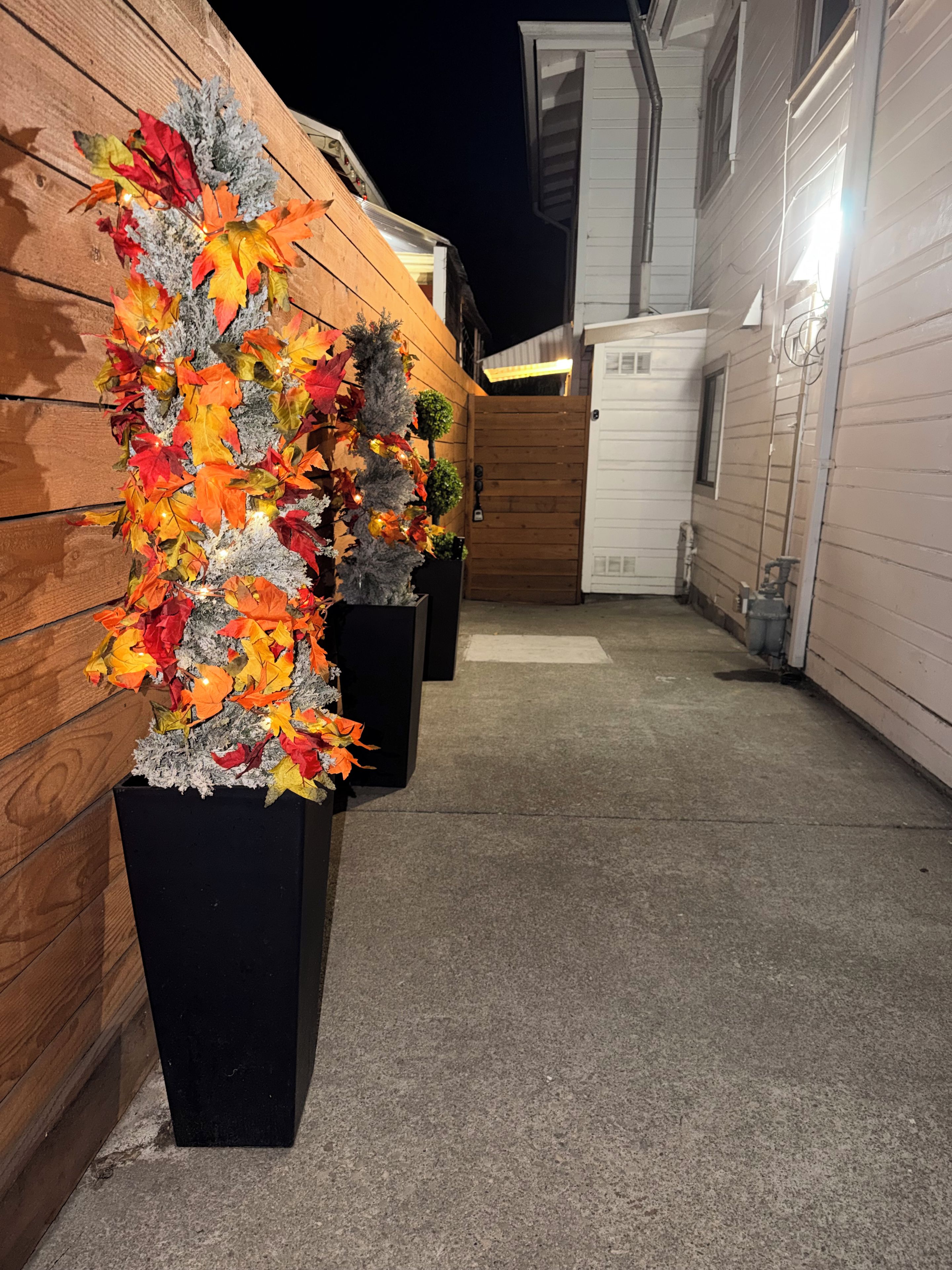 Une rangée de jardinières noires ornées de feuilles d’automne et d’un petit arbre, disposées contre un mur en bois.