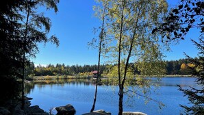 A serene lake surrounded by trees and rocks. - Exclusive 5-star vacation apartment in the heart of Bischofsgrün (Bischofsgrün)