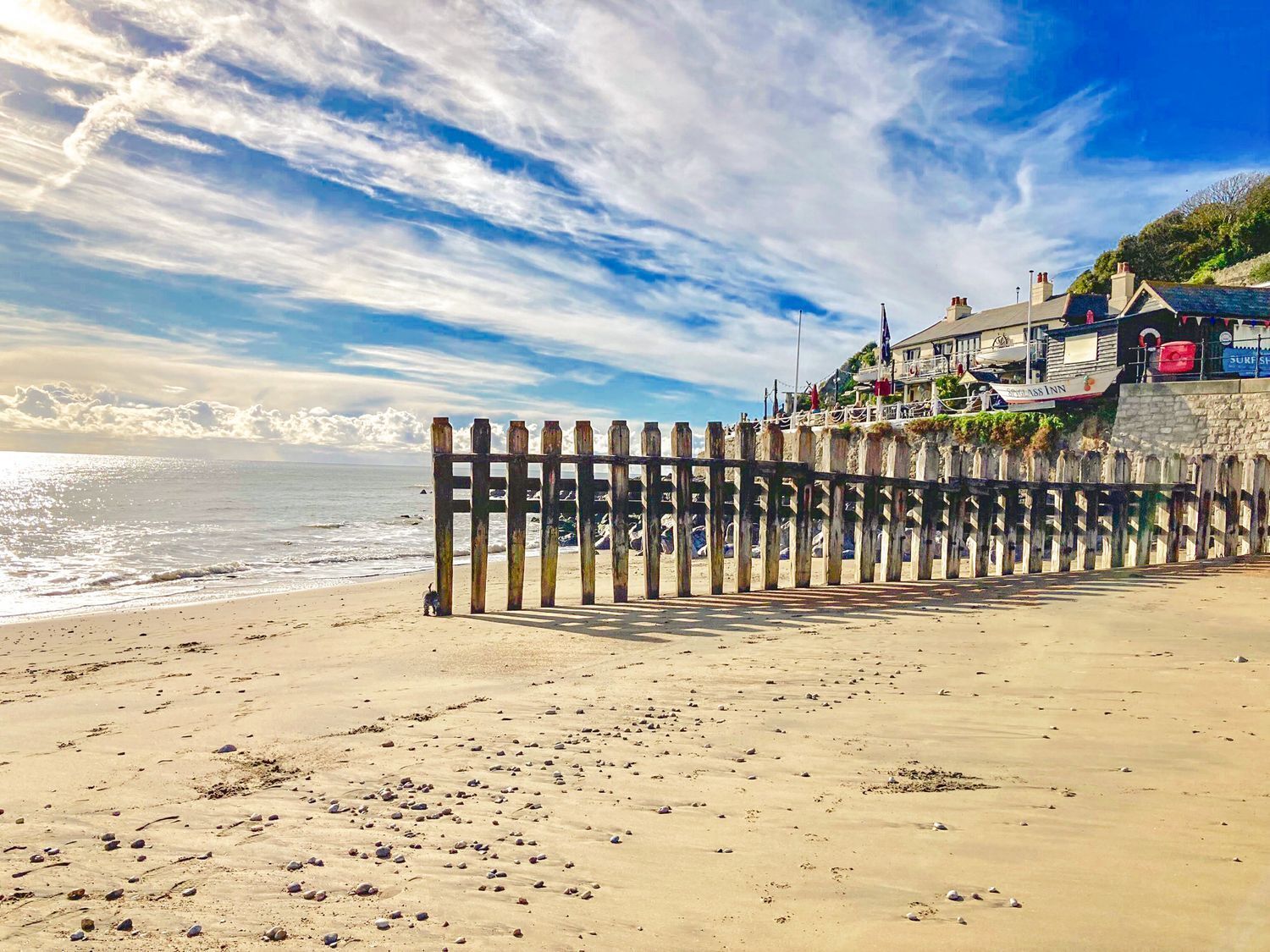 A beach with a wooden fence, a building with a sign 'Shark's Ass Inn', and the ocean in the background.
