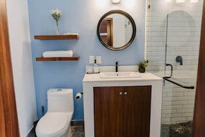 Shower, hair dryer, soap, toilet paper