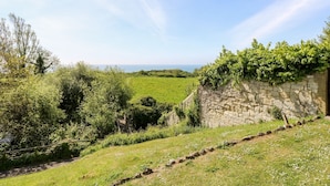 A stone wall with greenery, a grassy field, and a clear sky. - Swallows (Ventnor)