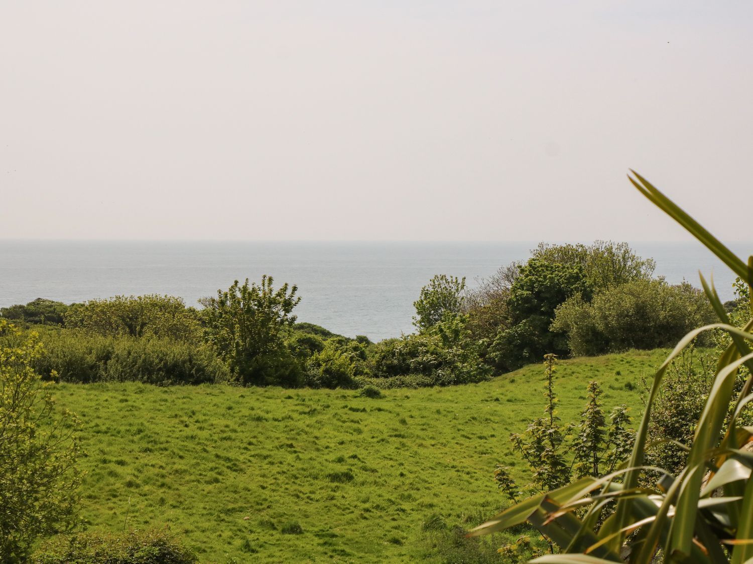 A grassy field with a view of the sea.