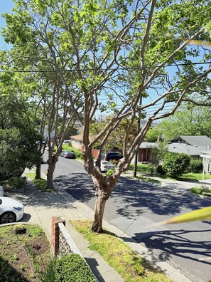 Property grounds - Entire Private Guest Suit/ UC Berkeley / SF (El Cerrito)