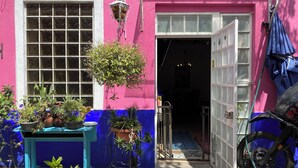 Un edificio rosa y azul con un amplio ventanal, una planta colgante y una motocicleta estacionada afuera.