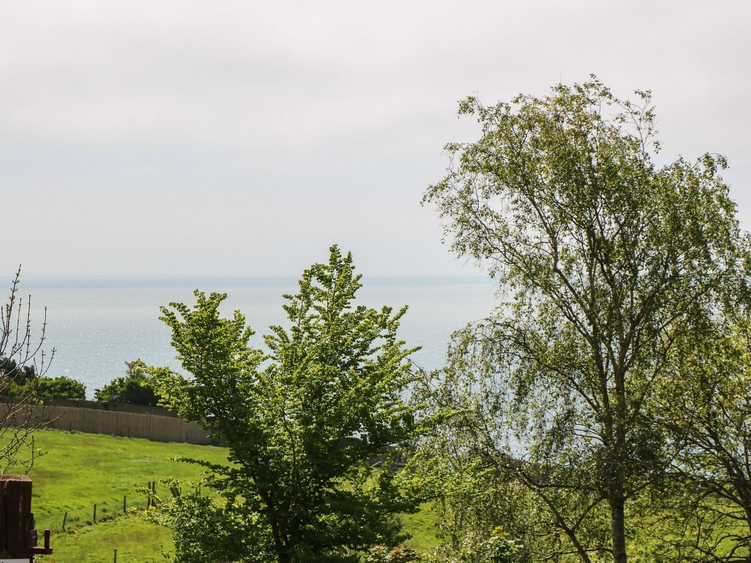 A view of a coastal landscape with trees and a fence.