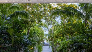 Un exuberante jardín interior con diversas plantas tropicales y una vista despejada del océano al fondo.