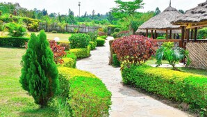 A garden pathway with neatly trimmed hedges and a thatched-roof structure. - Rosa Gardens Hotel (Muhoroni)