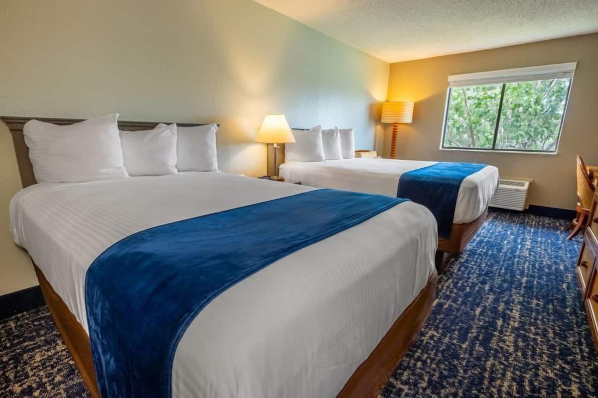 Una habitación de hotel con dos camas, una ventana que da a árboles y una alfombra azul.