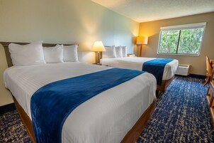 Caja de seguridad en la habitación y wifi gratis 