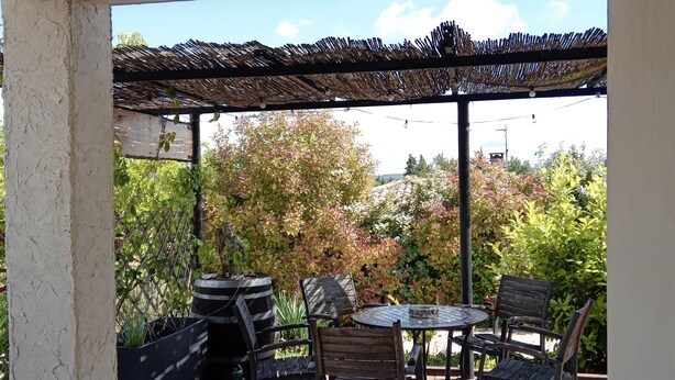 Eine Terrassengruppe im Freien mit Holztisch und -stühlen, umgeben von Topfpflanzen und einem Reetdach.
