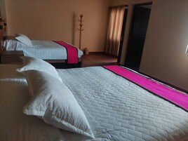 A hotel room with two beds, a wooden coat rack, and a door with curtains.