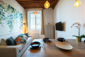TV - Lassagne - 2 - New studio in the city center (Lyon)