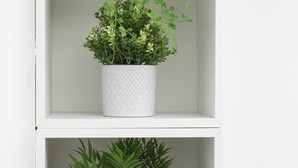 Una estantería blanca con una maceta texturizada blanca que contiene plantas verdes.