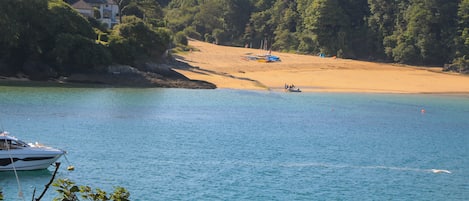 بالقرب من الشاطئ