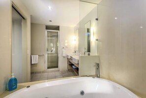 Shower, hair dryer, shampoo