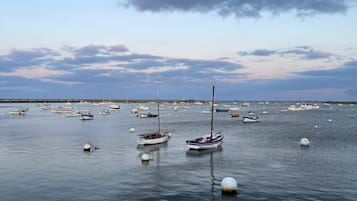 A marina with multiple boats anchored in calm waters, a clear sky, and a distant shoreline.