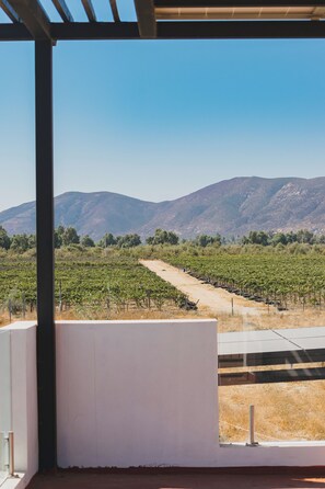 View from property - La Vid Urbana - Blue Sky (El Porvenir)