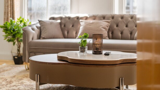 Una sala de estar con una mesa de centro redonda, un sofá y una planta en maceta.