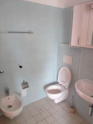 Shower, hair dryer, bidet, towels - Studio apartment with side balcony with sea view (Roseto degli Abruzzi)