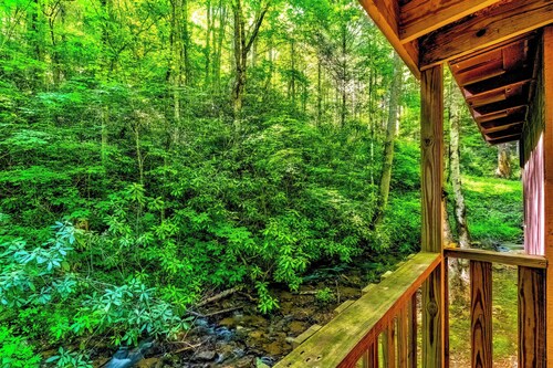 Fort Apache Cabin at Panther Creek