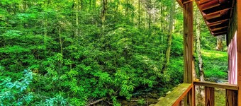 Fort Apache Cabin at Panther Creek
