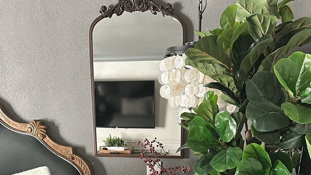 Une pièce avec un parquet en bois foncé, un canapé gris surmonté d’un plaid blanc, une petite table ronde avec un boîte de mouchoirs et un vase rempli de baies rouges, et une grande plante verte dans un pot noir.