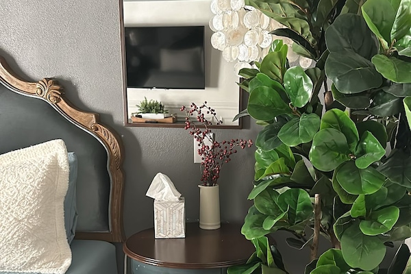 1 chambre, bureau, fer et planche à repasser, lit parapluie