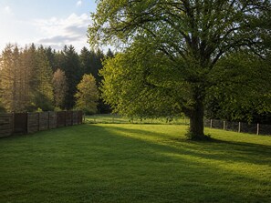 Un champ herbeux avec un grand arbre et une clôture en bois.