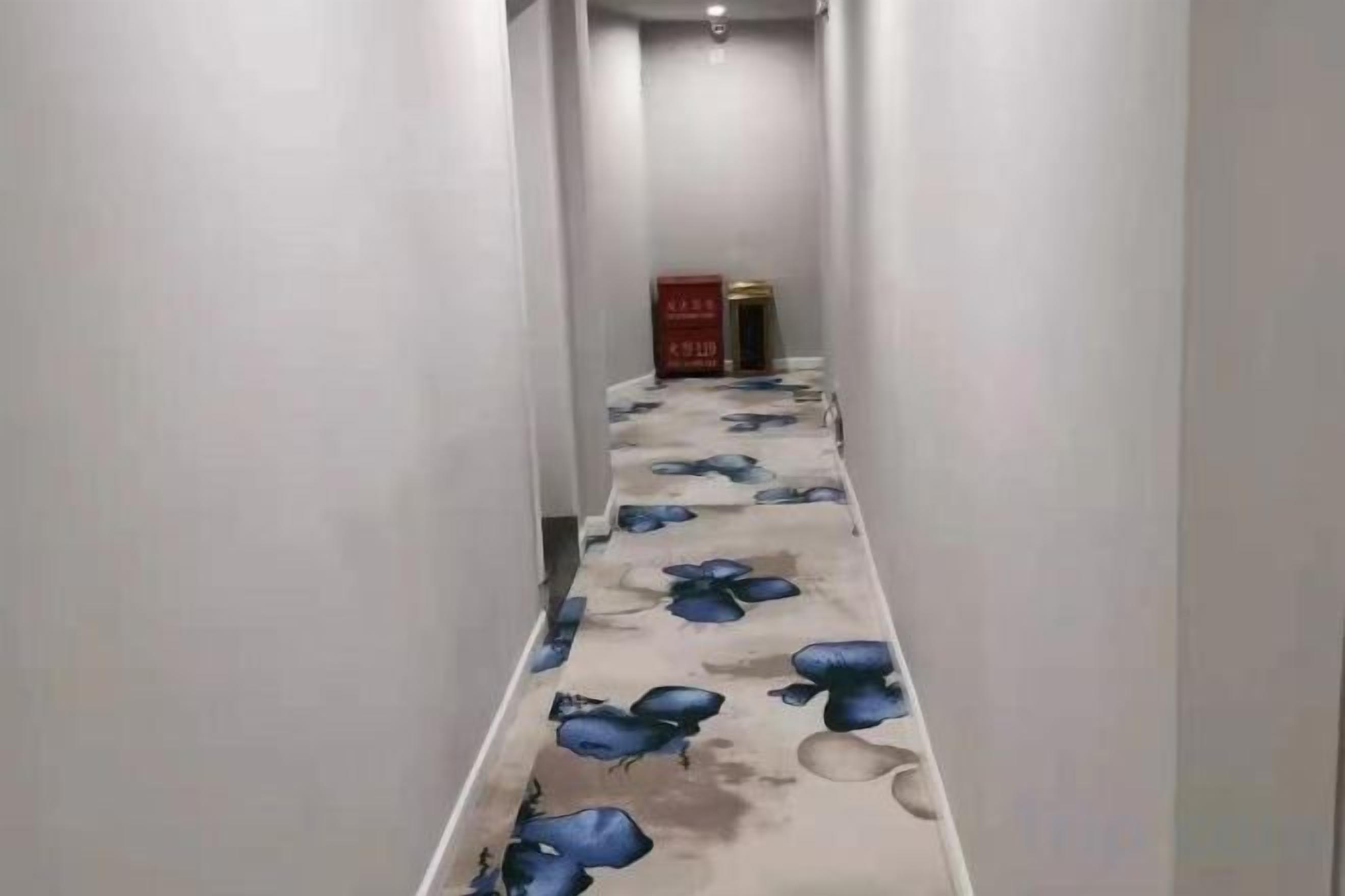A narrow hallway with a patterned carpet and a red object in the distance.