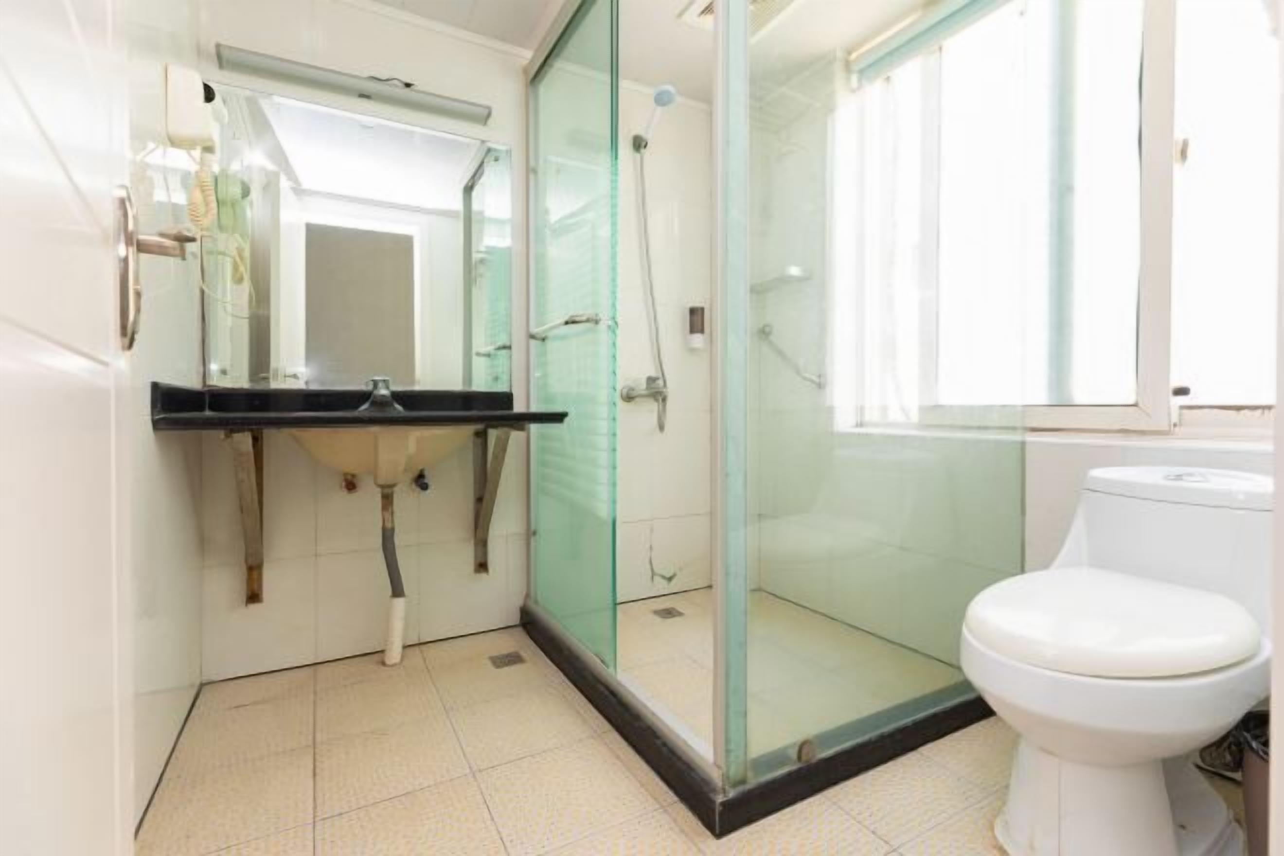 Et badeværelse med en brusekabine med glasvægge, et hvidt toilet og en vask med et spejl over.