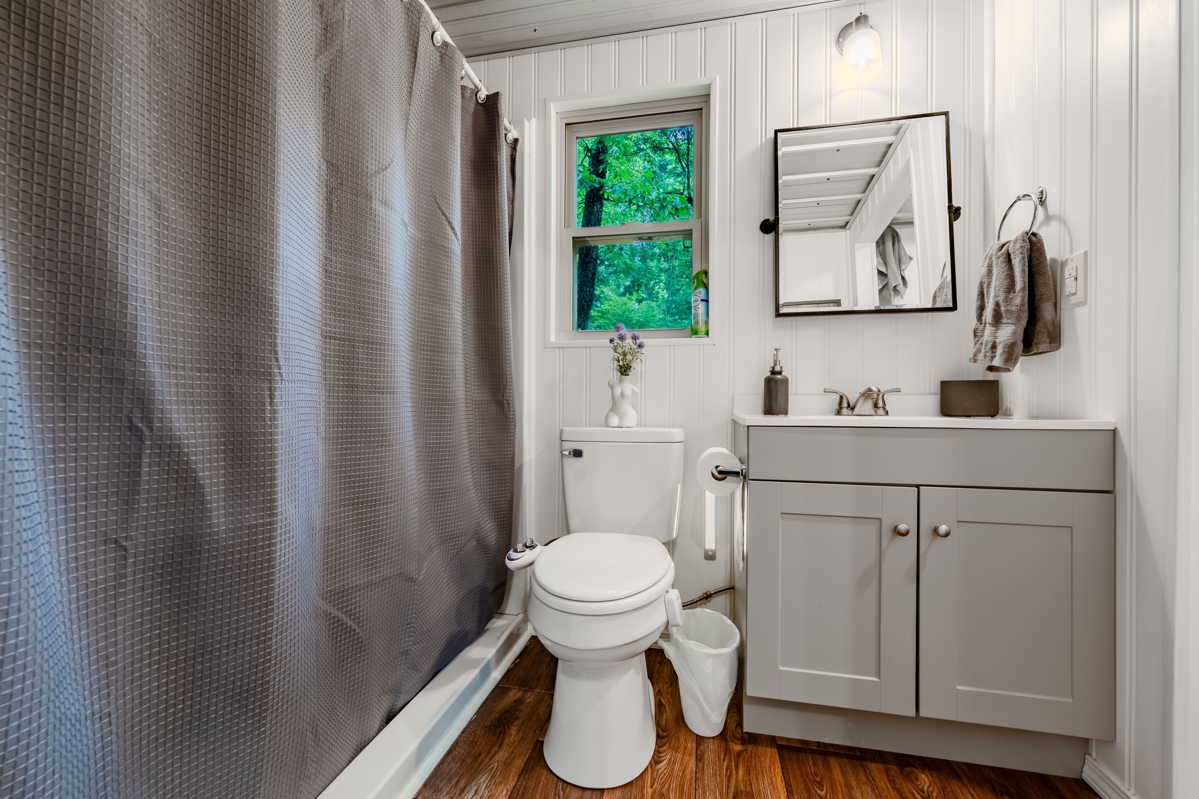 Shower, bidet, towels, soap