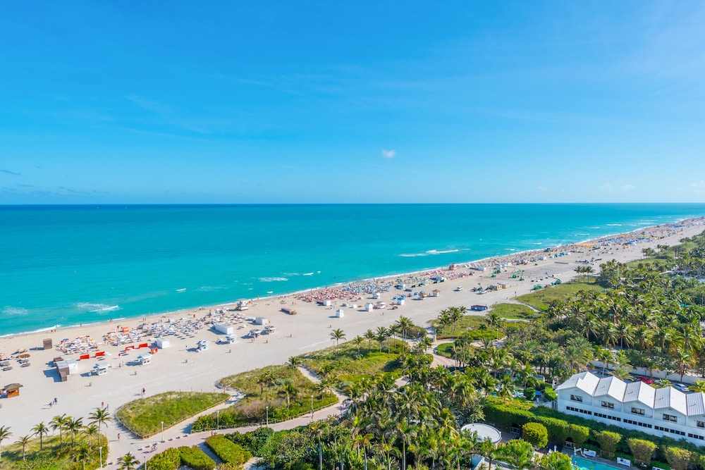 The Setai, Miami Beach by null